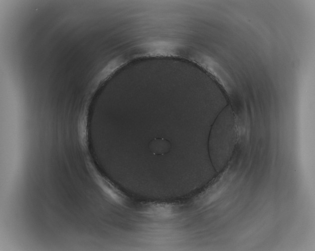 X0000111420677200908031305
