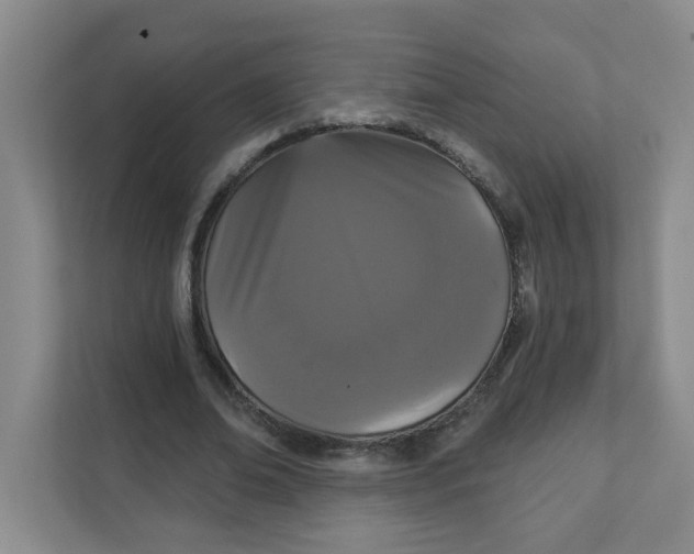 X0000111420678200908031305