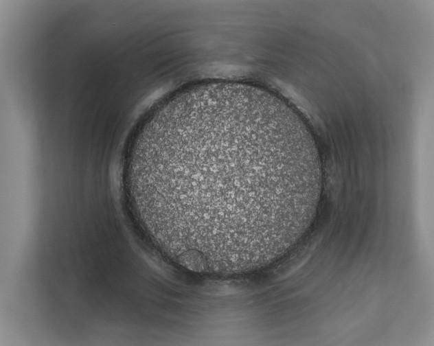 X0000111420679200908031305