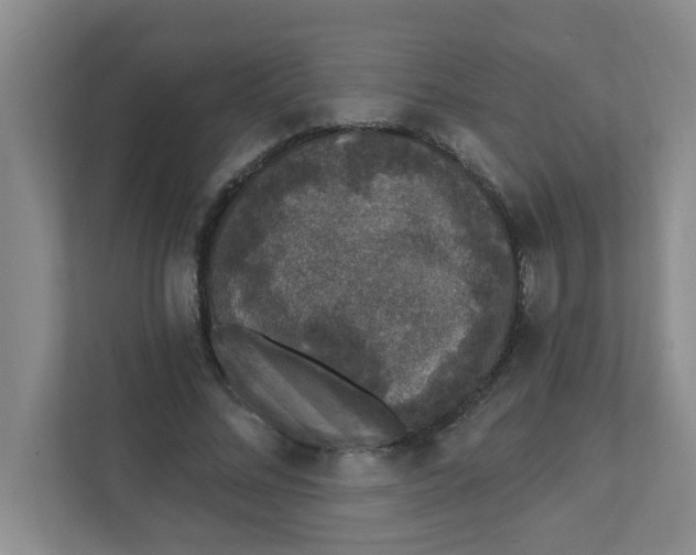 X0000111420684200908031305