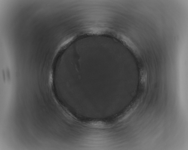 X0000111420685200908031305