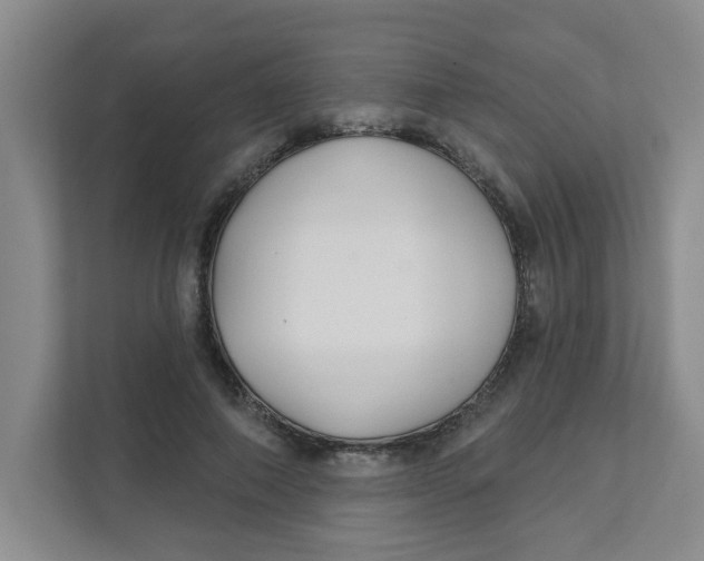 X0000111420690200908031305