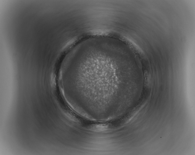 X0000111420692200908031305