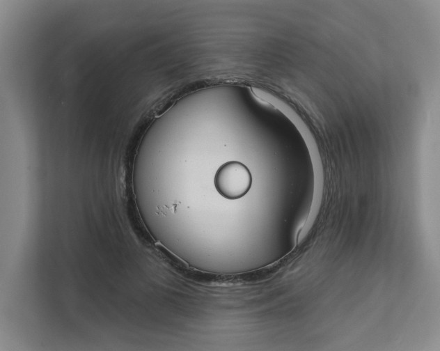 X0000111420693200908031305