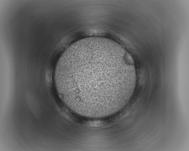 X0000111420695200908031305