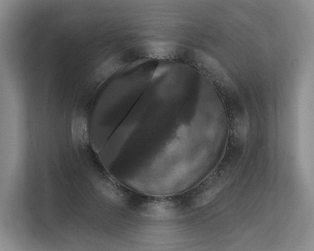 X0000111420696200908031305