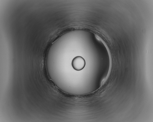 X0000111420697200908031305
