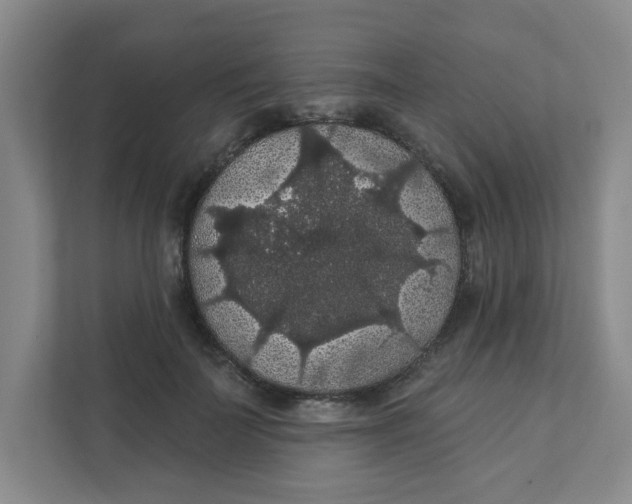 X0000111420699200908031305