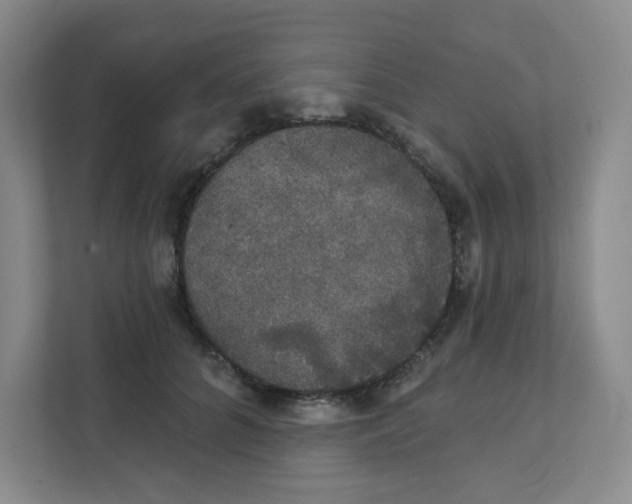 X0000111420704200908031305