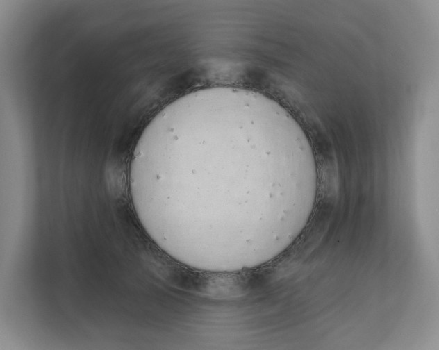 X0000111420705200908031305