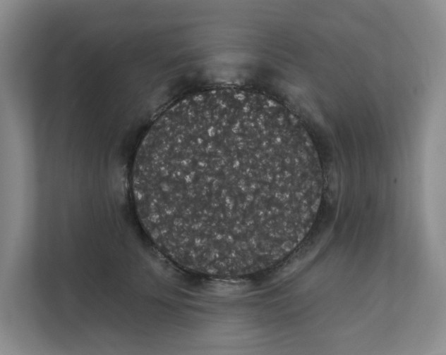 X0000111420707200908031305