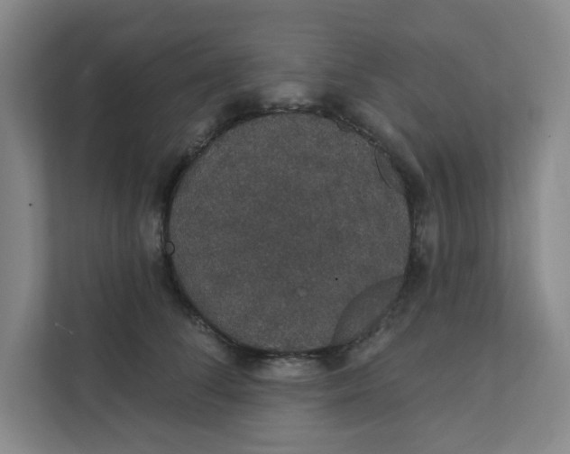 X0000111420708200908031305