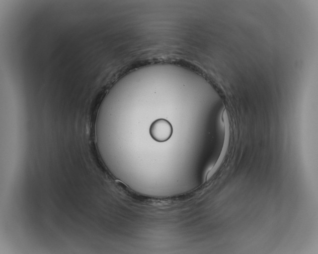 X0000111420709200908031305