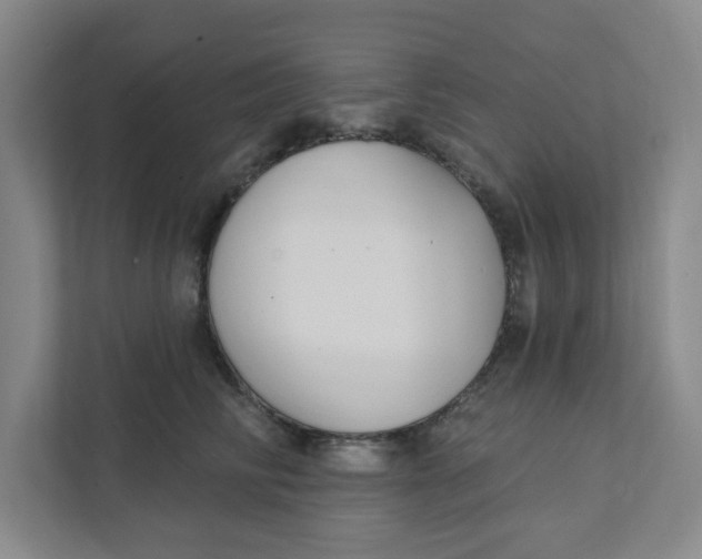 X0000111420710200908031305