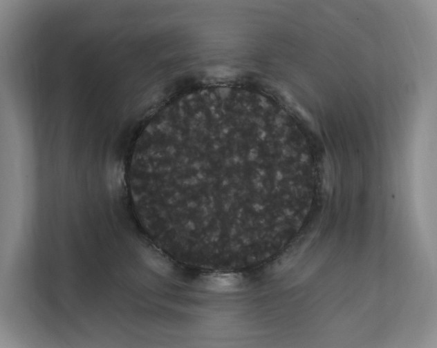 X0000111420711200908031305