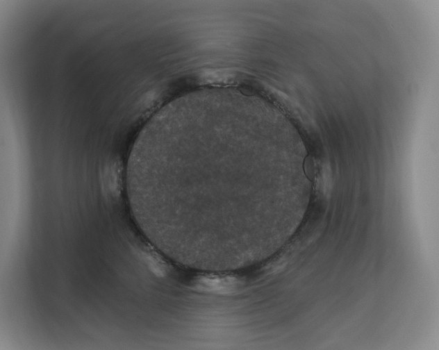 X0000111420712200908031305