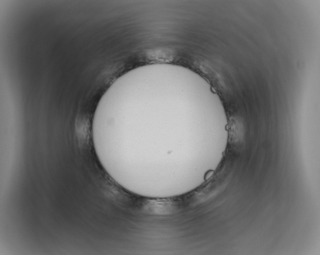 X0000111420713200908031305