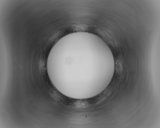 X0000111420714200908031305