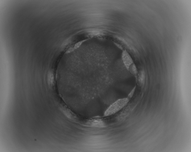 X0000111420715200908031305