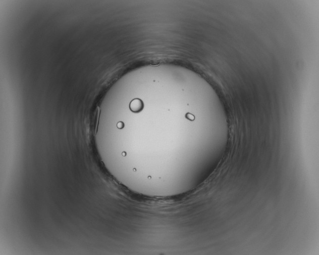 X0000111420716200908031305