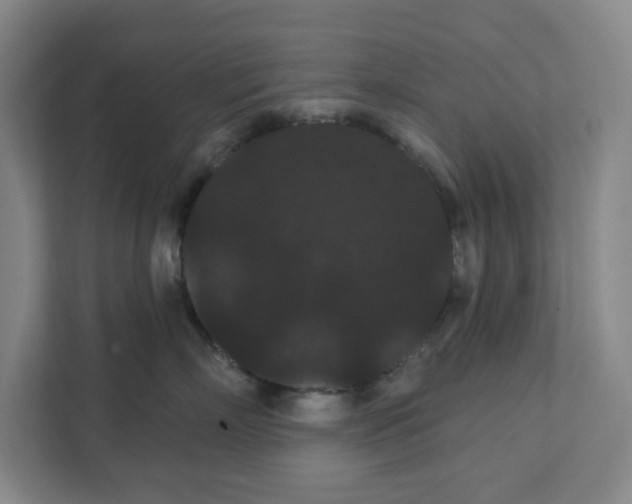 X0000111420718200908031305