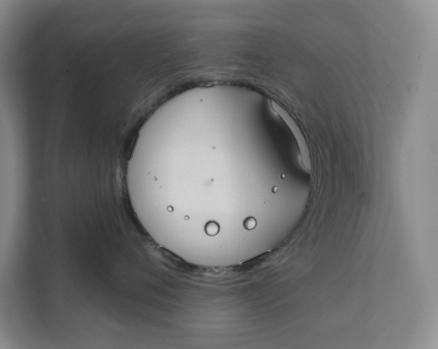 X0000111420720200908031305