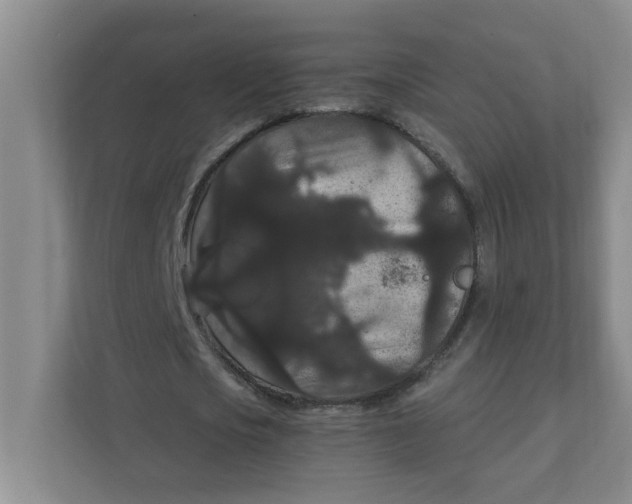 X0000111420721200908031304