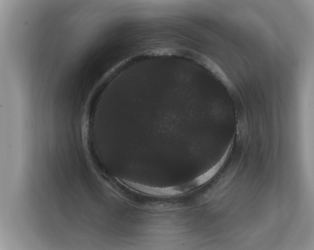 X0000111420722200908031304