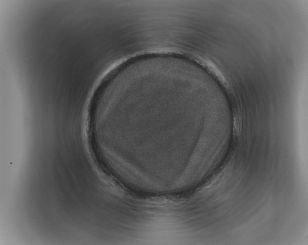 X0000111420724200908031304