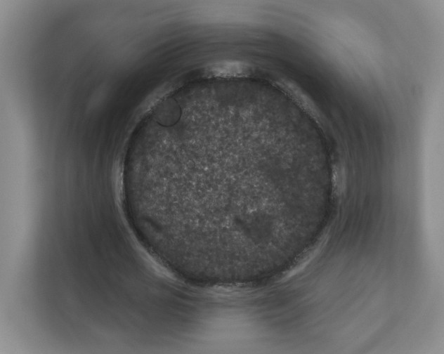 X0000111420725200908031304