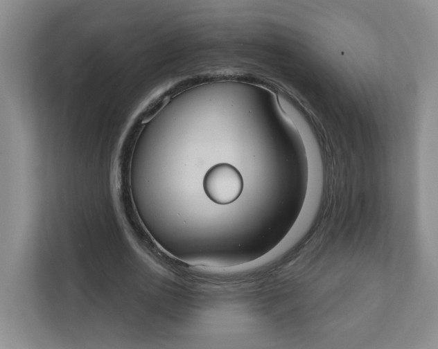 X0000111420726200908031304