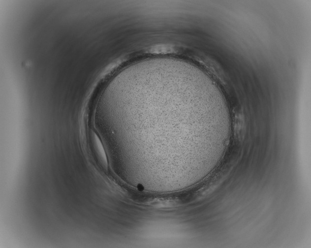 X0000111420727200908031304