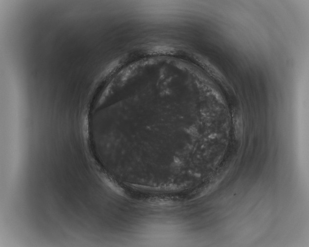 X0000111420729200908031304