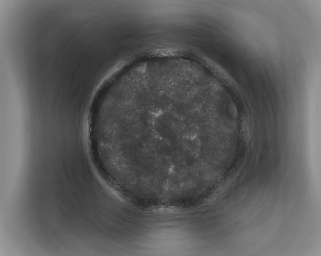 X0000111420730200908031304