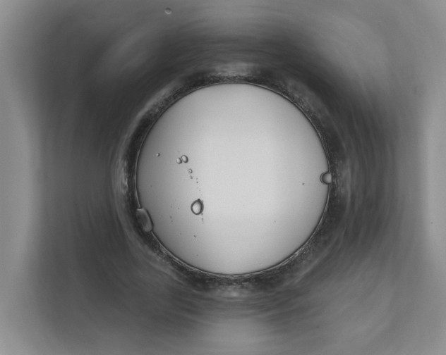 X0000111420731200908031304