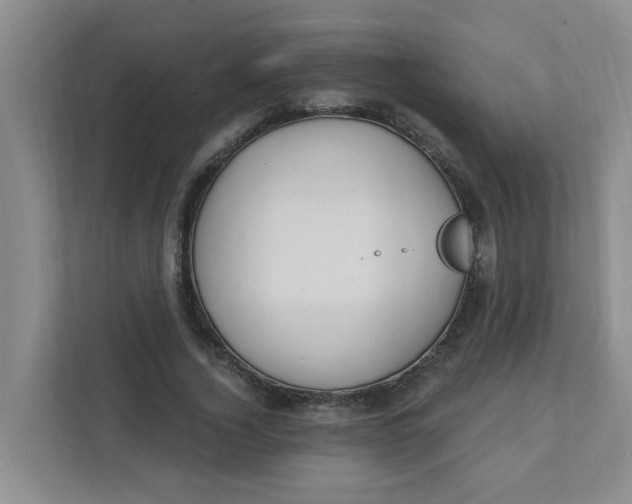 X0000111420732200908031304