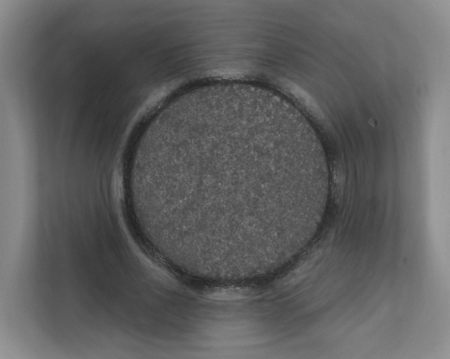 X0000111420734200908031304