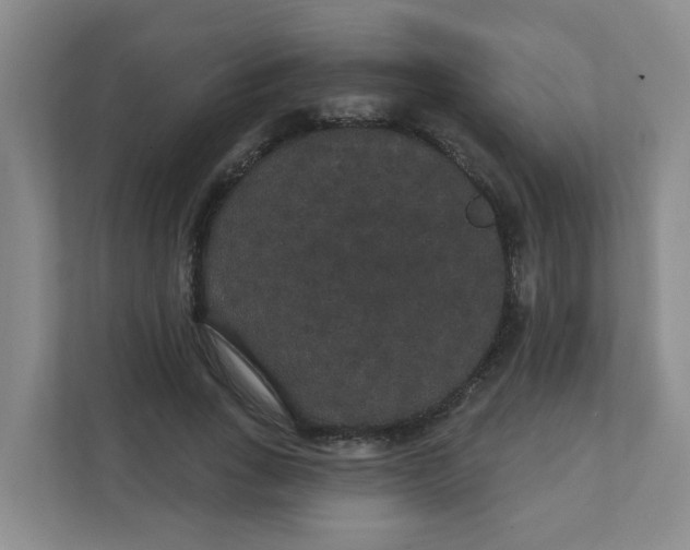 X0000111420735200908031304