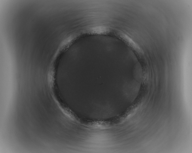 X0000111420736200908031304