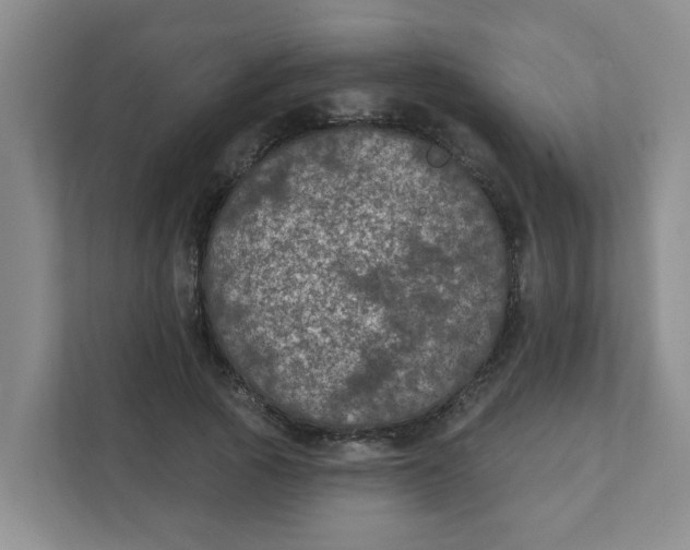 X0000111420737200908031304
