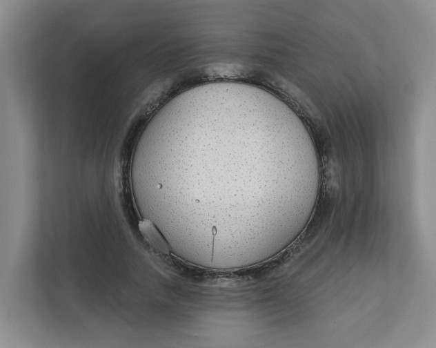 X0000111420738200908031304