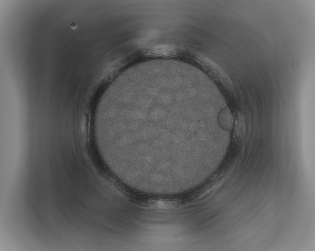 X0000111420739200908031304