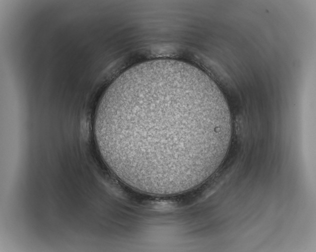 X0000111420741200908031304