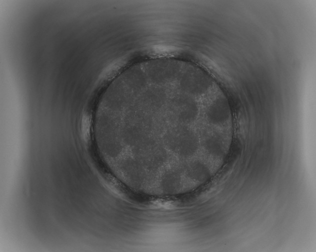 X0000111420742200908031304