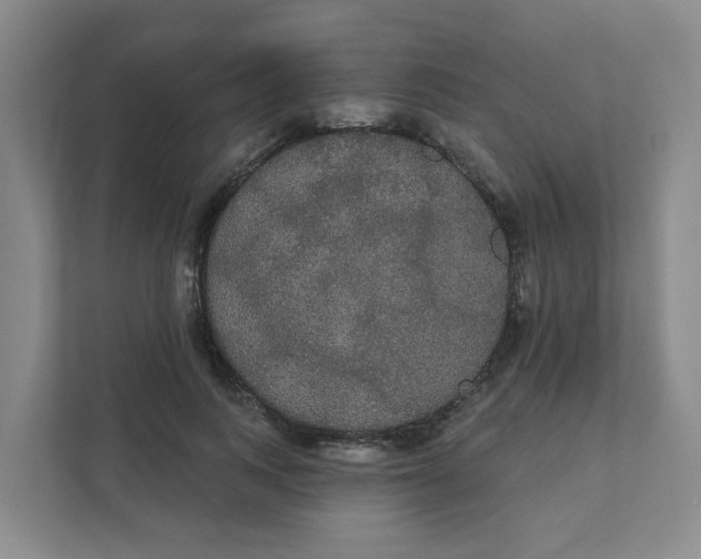 X0000111420743200908031304