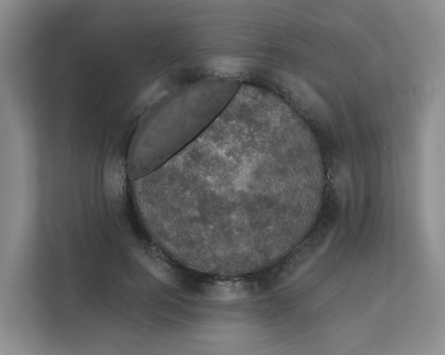 X0000111420744200908031304