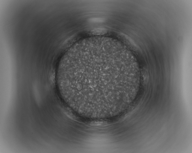 X0000111420745200908031304