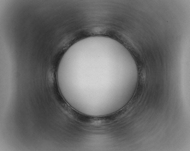 X0000111420746200908031304