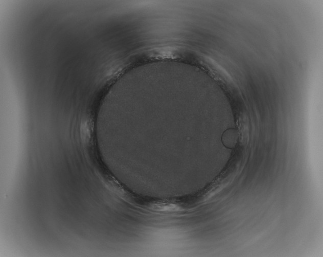 X0000111420747200908031304