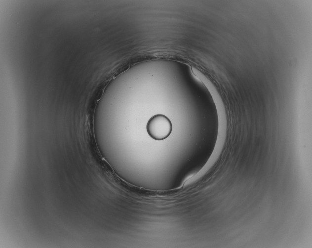 X0000111420748200908031304